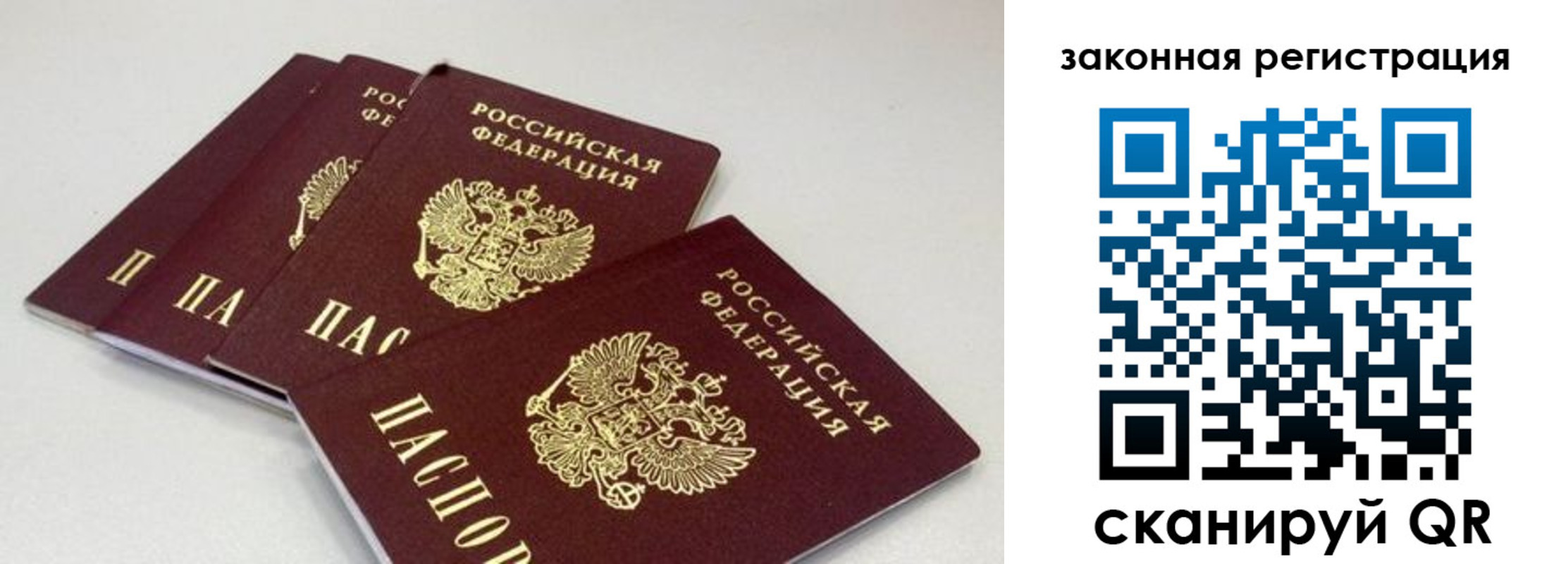 временная регистрация в Щиграх